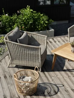 Aster Fåtölj