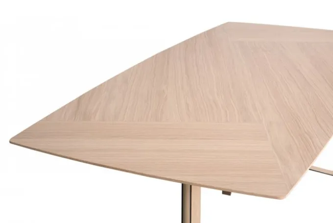 Fusion Matbord 220x100 cm Wood
